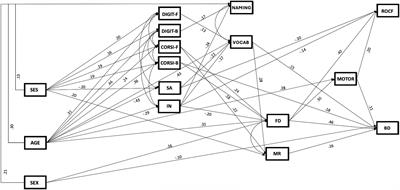 Specific and shared cognitive predictors of drawing and block building in typically developing children